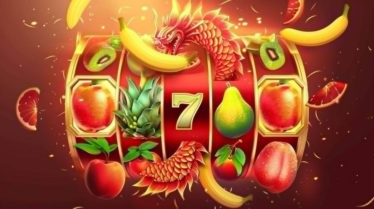 559bet net
