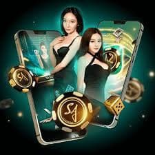 559bet net