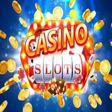 559bet net