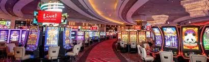 559bet net
