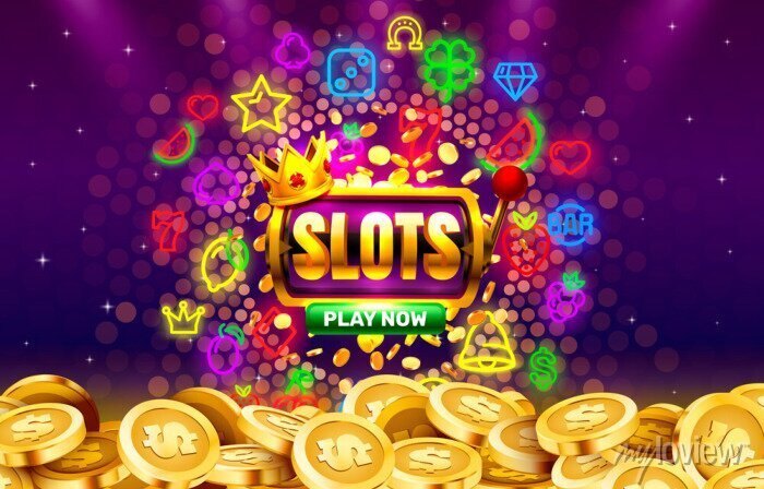 559bet net