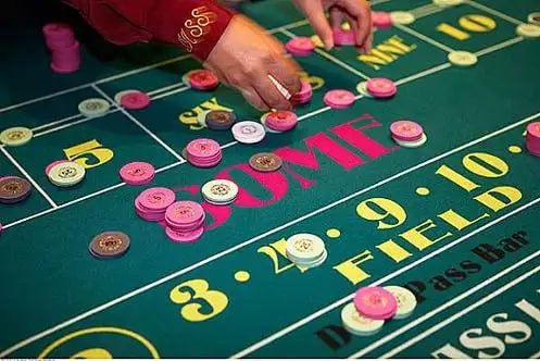 559bet net